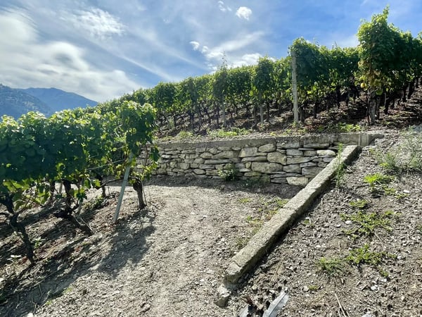 Terrain à construire 3