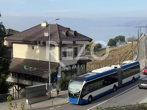 deux pas du Château de Chillon ? Superbe 1.5 pièces avec vue sur le lac 2