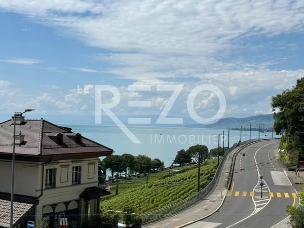 deux pas du Château de Chillon ? Superbe 1.5 pièces avec vue sur le lac 7