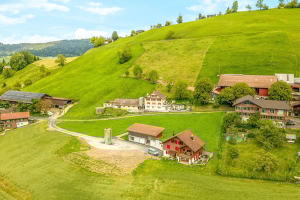 Wohnidylle mit Seeblick und Alpenpanorama 4