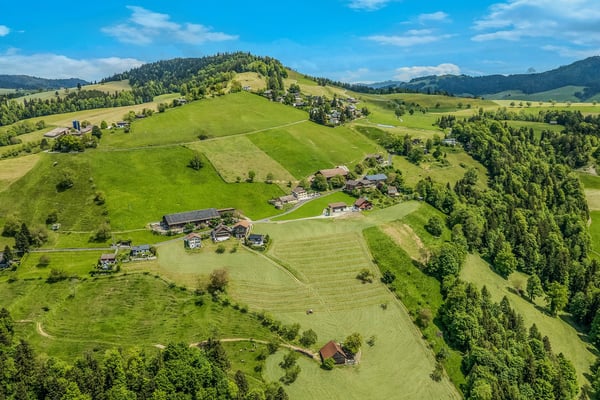 Wohnidylle mit Seeblick und Alpenpanorama 5