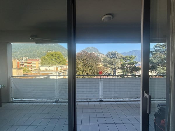 Molino Nuovo, moderno e spazioso 1.5 locali con vista aperta 9