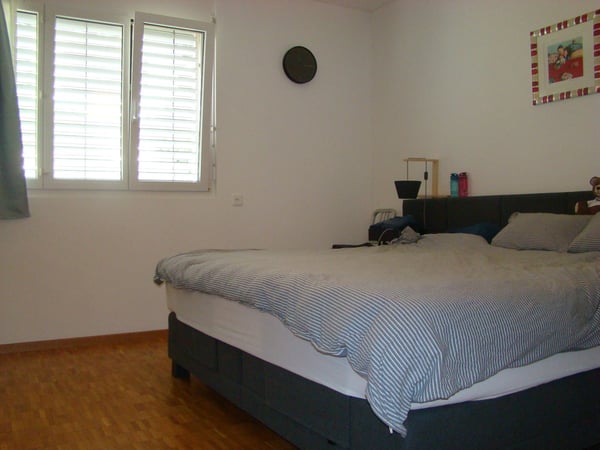 Molino Nuovo, moderno e spazioso 1.5 locali con vista aperta 4