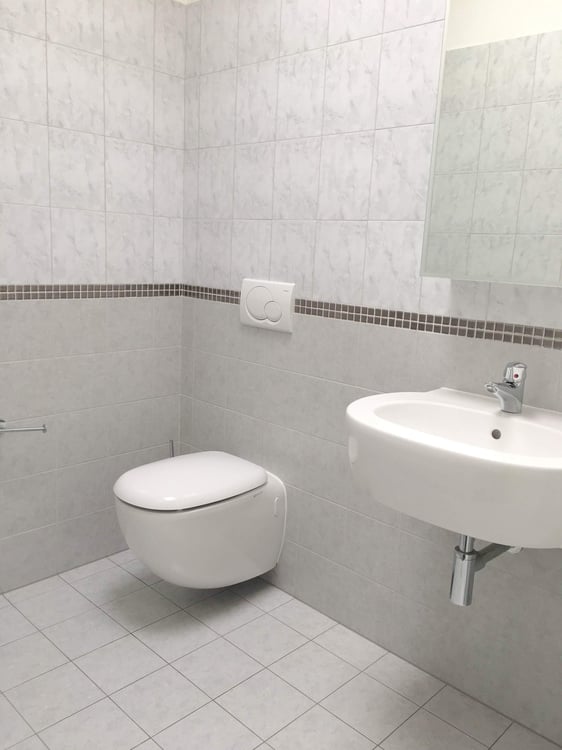 Luxurious 1.5-Room Penthouse with Panoramic Views in Pregassona 11