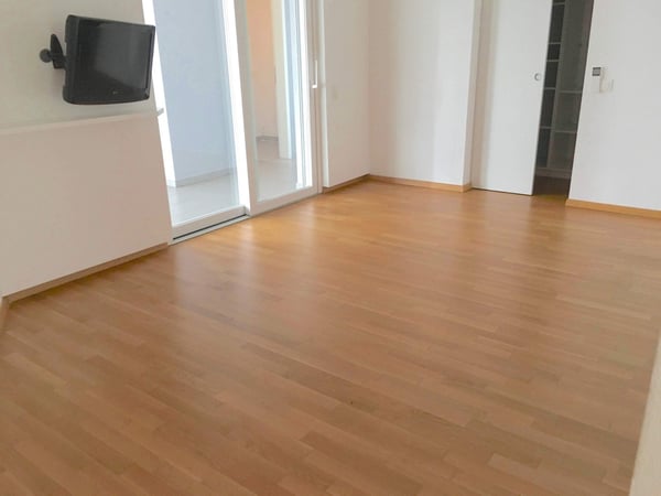 Pregassona singolare Attico moderno e luminoso con roof garden 5