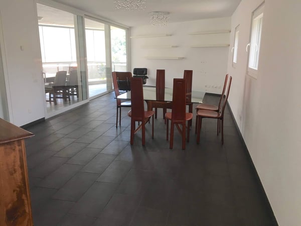 Pregassona singolare Attico moderno e luminoso con roof garden 3