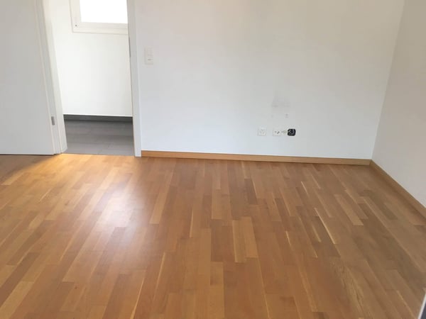 Pregassona singolare Attico moderno e luminoso con roof garden 7