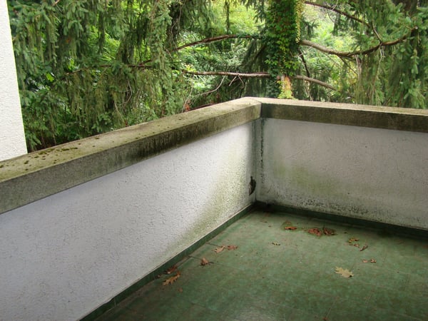 Morbio Inferiore Villa di carattere con ampia vista panoramica immersa nel verde 24
