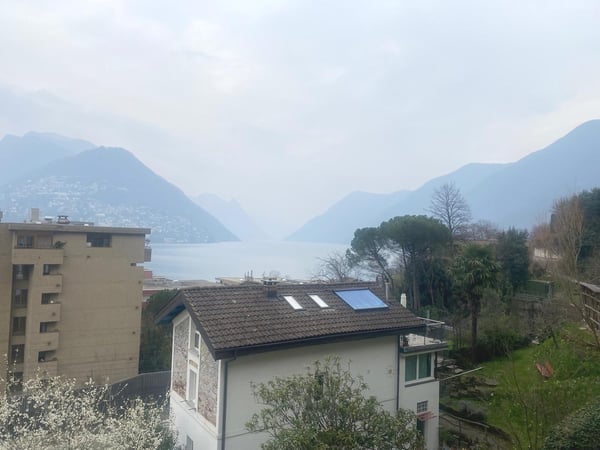 Paradiso confortevole appartamento di 3,5 locali, con parziale vista lago 1