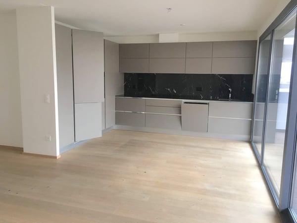Pregassona Residenza River 2,5 locali con giardino 4
