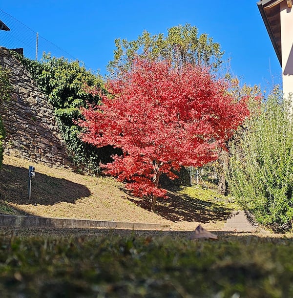 Villa in affitto - vista lago 14