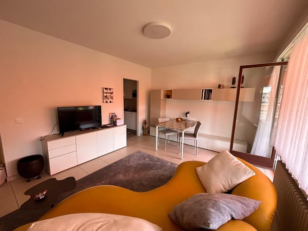 Appartamento completamente arredato a Losone 4