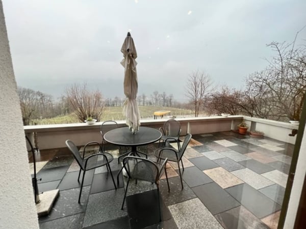 Splendida Casa Colonica di 12 Locali con Vigneto a Breganzona 28
