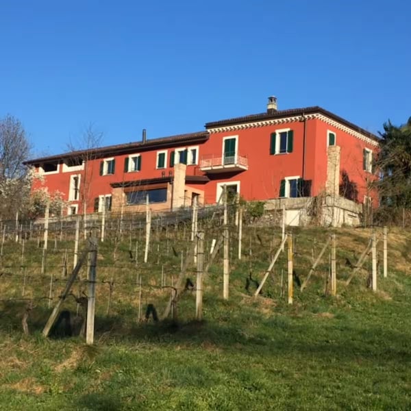 Splendida Casa Colonica di 12 Locali con Vigneto a Breganzona 1