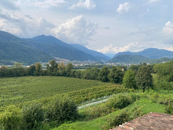 Splendida Casa Colonica di 12 Locali con Vigneto a Breganzona 18