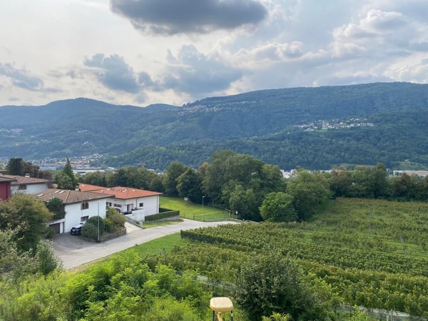 Splendida Casa Colonica di 12 Locali con Vigneto a Breganzona 19
