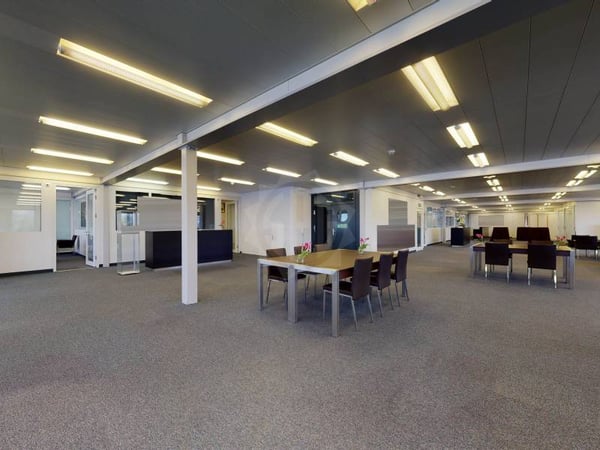 Immeuble Industriel / Artisanal (ZIMEYSA Genève) 7