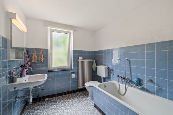 Mit Weitsicht und viel Potential 12