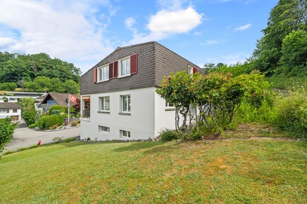 Mit Weitsicht und viel Potential 1