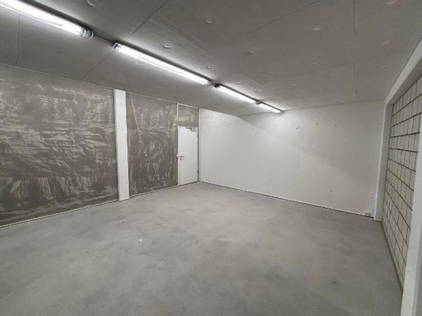 52 m² Lager-/Hobbyraum, neu und zentral, in Seengen mieten 5