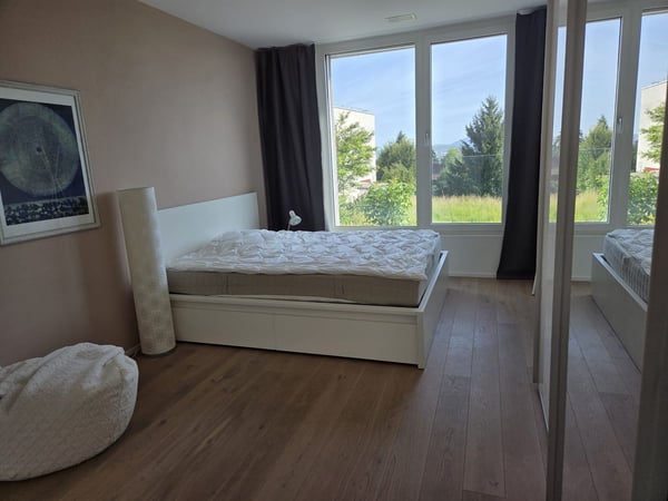 Einmalige Gelegenheit in Binningen 6