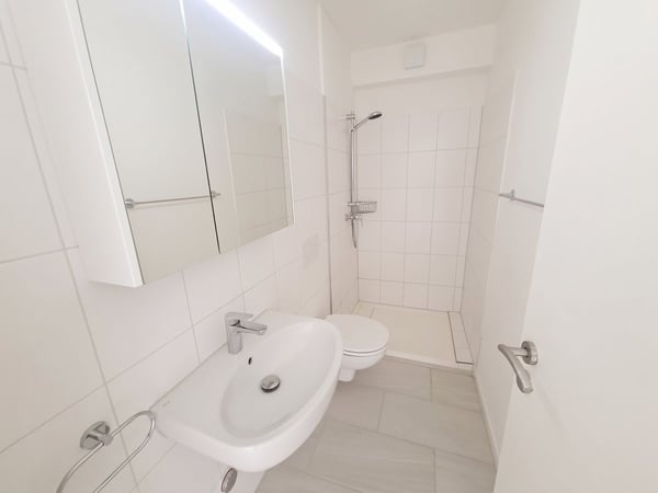 Helle 5-Zimmer Attikawohnung mit Blick in Basel zur Miete 7