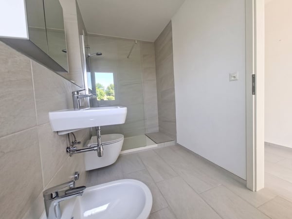 Helle 5-Zimmer Attikawohnung mit Blick in Basel zur Miete 6