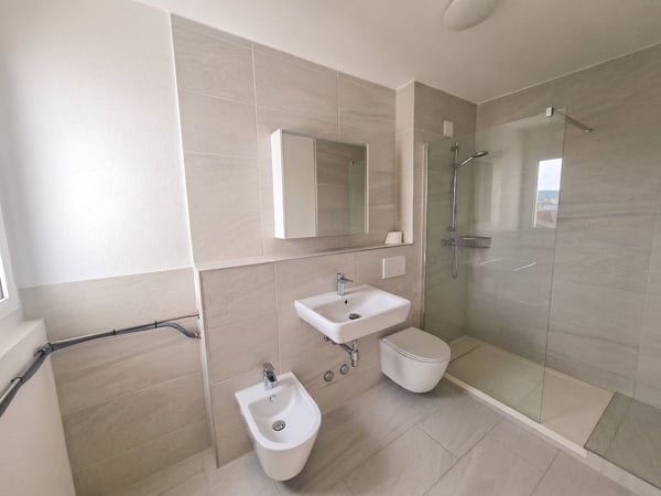 Helle 5-Zimmer Attikawohnung mit Blick in Basel zur Miete 5