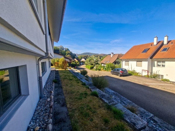 Geräumiges 5.5-Zimmer Einfamilienhaus mit Aussicht in Seewen 4