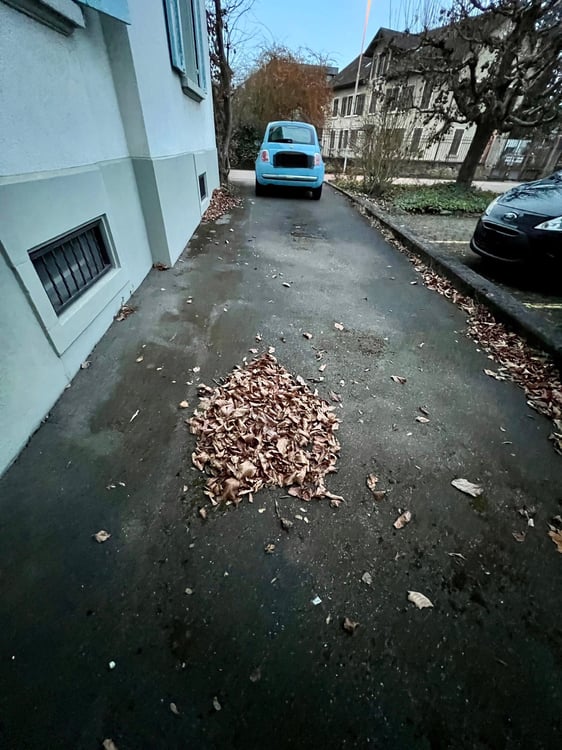 Ungedeckter Doppel-Parkplatz an zentraler Lage in Aarau 2