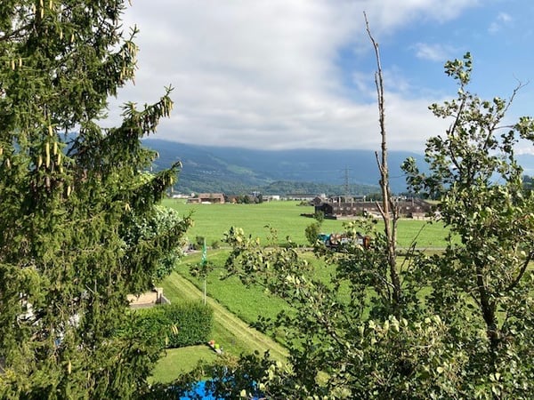 Grosszügige 1.5-Zimmer-Wohnung mit schöner Aussicht in Kaltbrunn 14