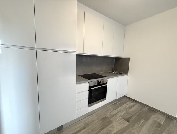 Moderno e rinnovato 1.5 locali in affitto a Mendrisio 1