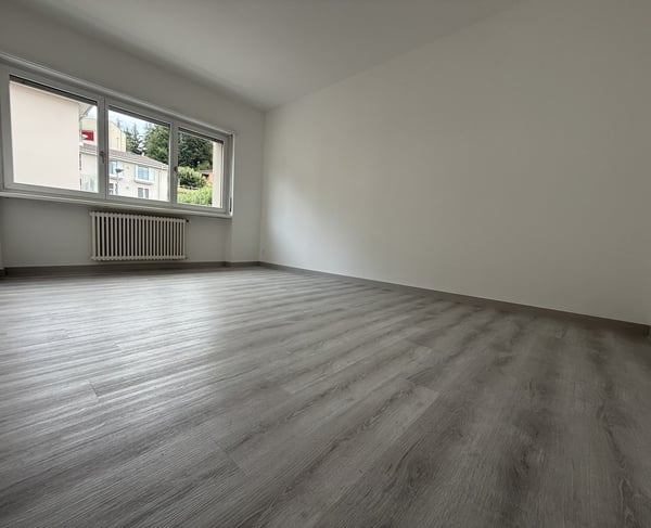 FINO A 3 MESI GRATUITI - 1.5 locali ristrutturato a Balerna 2