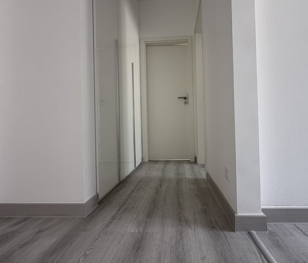 FINO A 3 MESI GRATUITI - 1.5 locali ristrutturato a Balerna 3