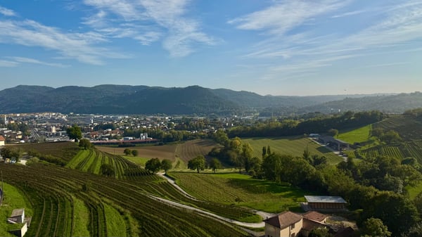 FINO A 3 MESI GRATUITI -1.5 locali con 2 servizi a Coldrerio 10