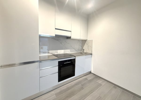 FINO A 3 MESI GRATUITI - 1.5 locali nuovo-moderno a Vacallo 1