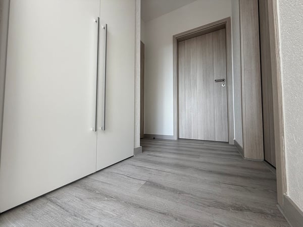 FINO A 3 MESI GRATUITI -1.5 locali ristrutturato a Coldrerio 4