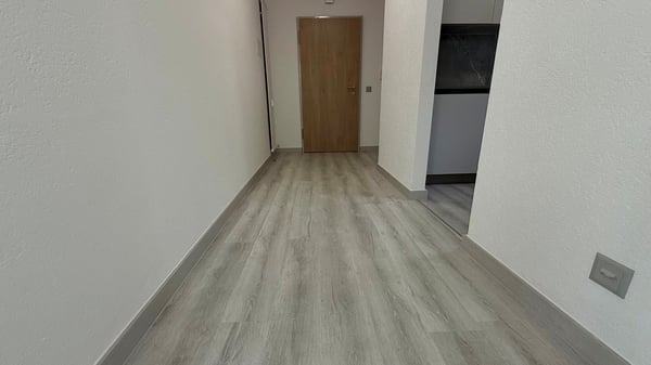 FINO A 3 MESI GRATUITI -1.5 locali ristrutturato a Coldrerio 3