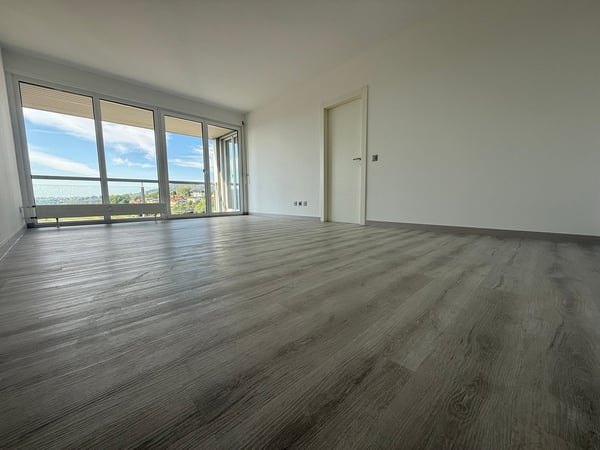 FINO A 3 MESI GRATUITI -1.5 locali ristrutturato a Coldrerio 3