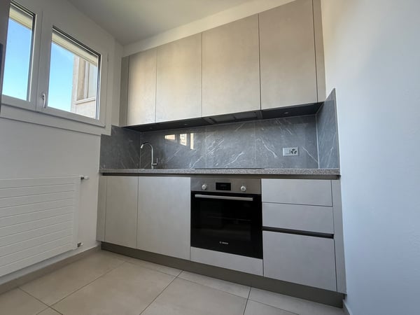 FINO A 3 MESI GRATUITI -1.5 locali ristrutturato a Coldrerio 1