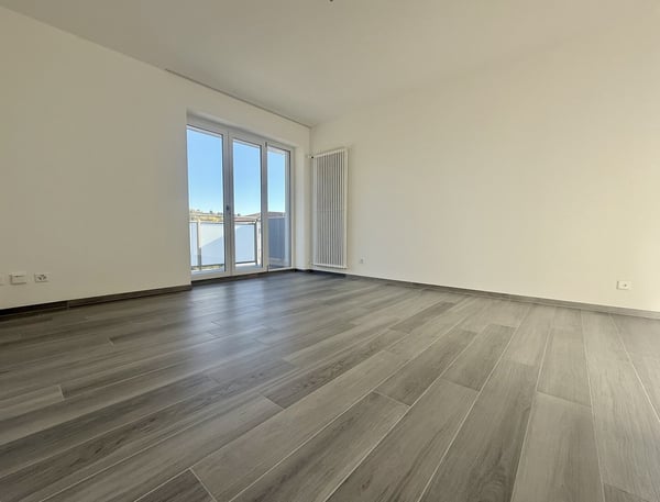 FINO A 3 MESI GRATUITI - 1.5 locali a Vacallo nuovo 6