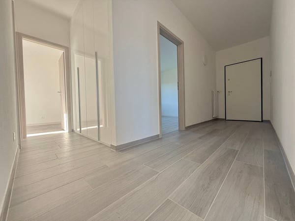 FINO A 3 MESI GRATUITI - 1.5 locali a Vacallo nuovo 7