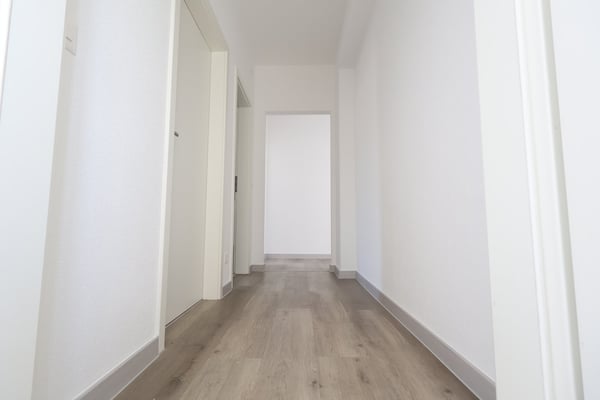 FINO A 3 MESI GRATUITI - 1.5 locali ristrutturato a Balerna 4