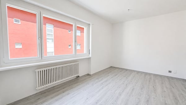 FINO 3 MESI GRATUITI - 1.5 locali ristrutturato e moderno a Lugano 2