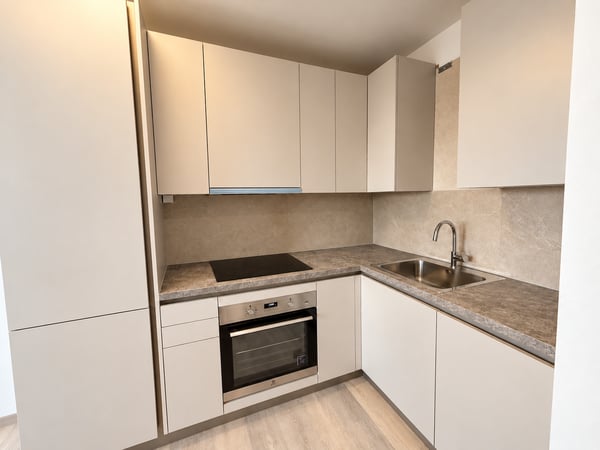 FINO 2 MESI GRATUITI - 3.5 locali moderno e ristrutturato a Coldrerio 1