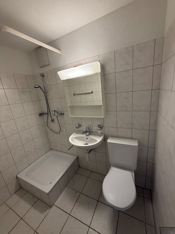 Helle 4.5-Zimmer-Wohnung mit grossem Balkon in Winterthur-Wülflingen 3