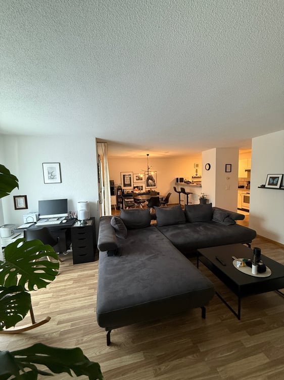 Helle 3.5-Zimmer-Wohnung in Uster 3