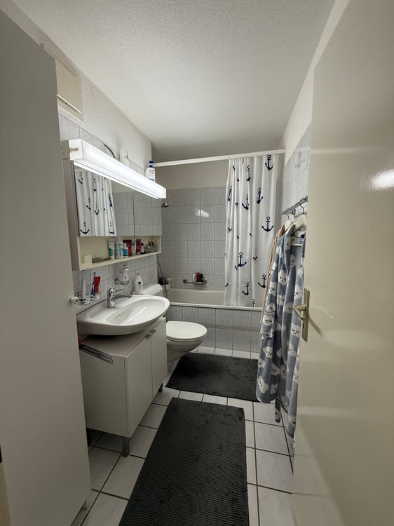 Helle 3.5-Zimmer-Wohnung in Uster 10