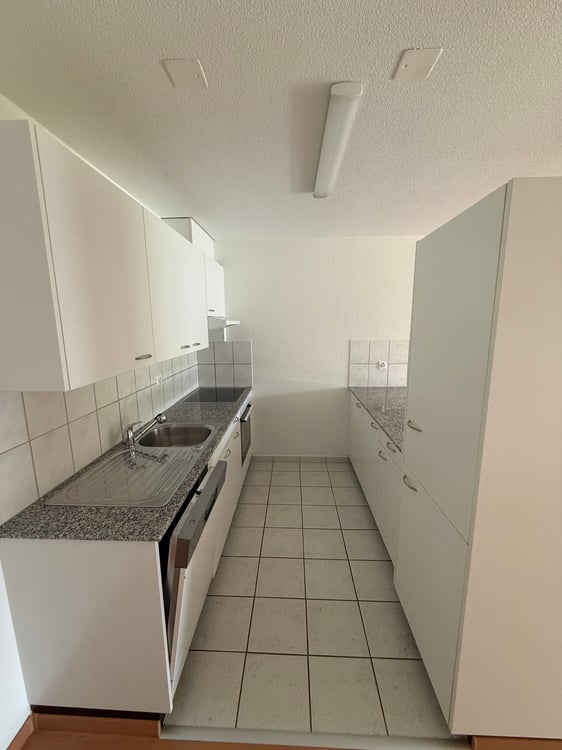 Helle 2.5-Zimmer-Wohnung mit Terrasse in Winterthur 2