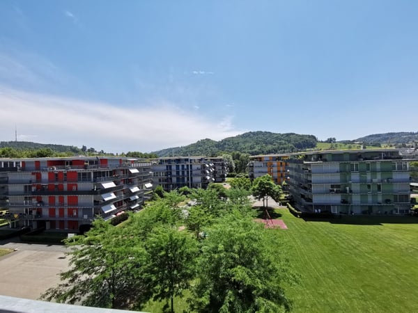 Helle 2.5-Zimmer-Wohnung mit Terrasse in Winterthur 1